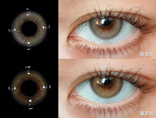 【新增日抛版】🇰🇷韩国门店同步 异域混血BADCAT 日抛 商品图0