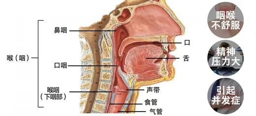 【多妈团购 开春家庭必备 全新升级德国科隆生物苍耳子油】亲测管用！简直是鼻炎患者的救星啊~一掰一抹，鼻子立马通畅了，鼻塞、流涕、各类鼻炎都有效！干净卫生不脏手-旺毅 商品图5