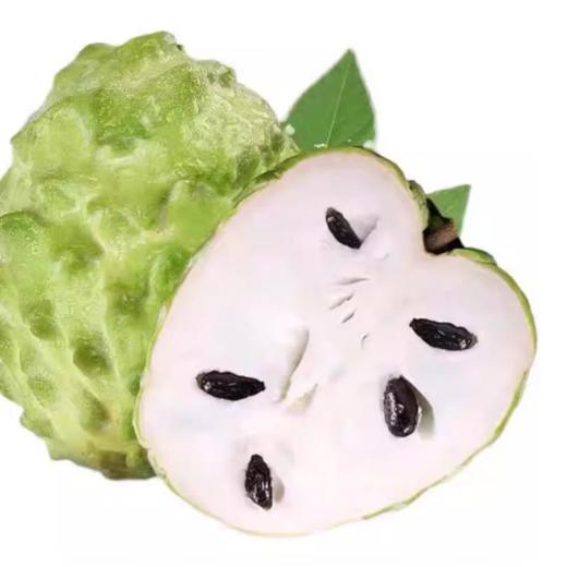 释迦 约500G /份 商品图0