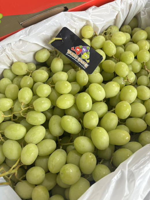 澳洲甜地球到货！脆甜多汁 皮薄肉脆 口感极佳～ 商品图1