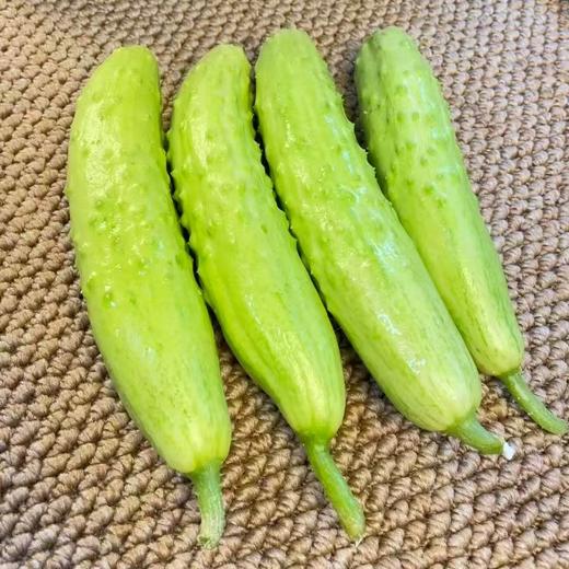 【牛奶白玉黄瓜】采用发酵大豆施肥，牛奶灌溉，新鲜采摘发货，瓜肉饱满，口感爽脆，非常适合生吃，“咔嚓”一声，一口咬下，清脆悦耳·满嘴尽是清新。 商品图9