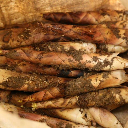 【临安-天目山春笋】2026 头茬天目山春笋，脆嫩的笋带着清鲜，回味略带甘甜，入口无渣，微甜无涩，净重4斤 商品图8