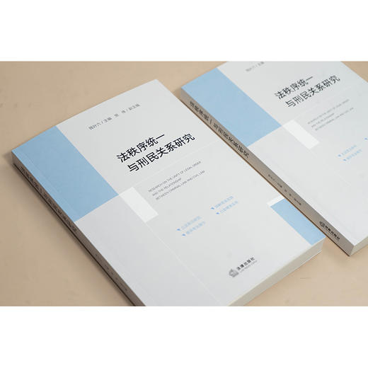法秩序统一与刑民关系研究 钱叶六主编 张伟副主编 法律出版社 商品图1