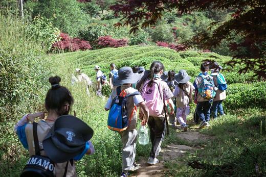 【智行研学】3.8/3.14 山野少年 商品图6