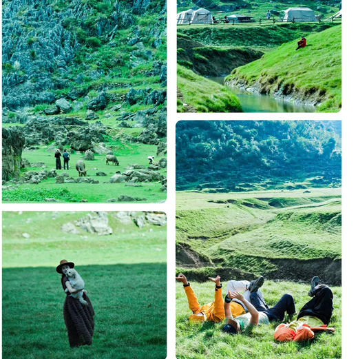 贵州｜3.28-4.1季节限定一年一度赏杜鹃花5天4晚，更多排期：4.1-4.5，4.11-4.15，百里杜鹃/铜鼓荡/寻龙洞探洞、羊皮洞瀑布，踏春黔徒轻徒步精致小团 商品图5