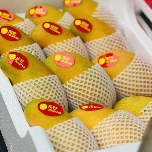 【北纬水仙芒】北纬18°阳光VIP选手，糖度直接拉满18+！  自然熟到枝头才采摘，果皮泛着胭脂红，芯子里像灌了蜂蜜。冷藏后直接啃——夏日冰淇淋的平替，低卡还管饱！ 商品图2