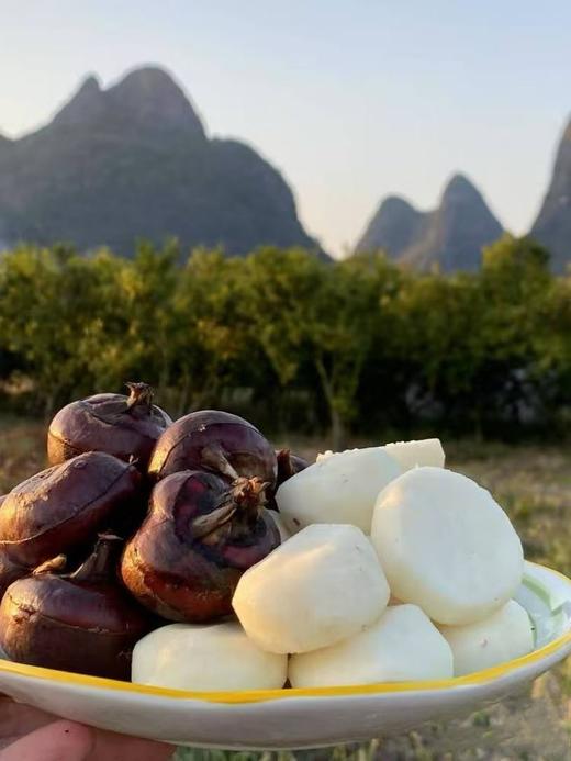 有机荔浦马蹄｜荔浦顺丰 商品图9