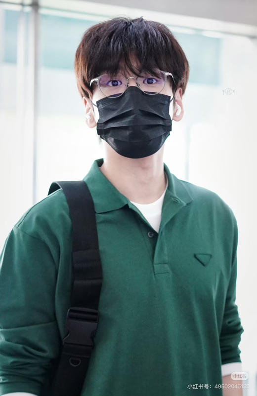 普啦达 26新品三角徽标装饰纯棉假两件长袖Polo衫T恤 商品图1