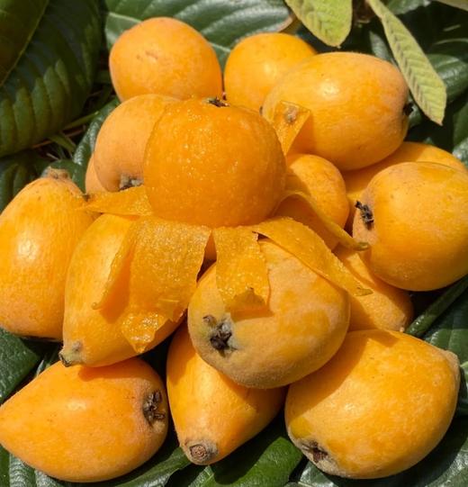 品牌高山冰糖枇杷礼盒顺丰包邮 商品图2