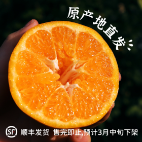 【即将收官】2026丑美阿柑生态耙耙柑 鲜果4.5斤装 九甜一酸自然成熟 预计3月中旬下架