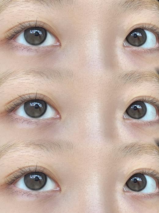 Aodeli奥德丽日抛 好运小狗 14.2mm 商品图0