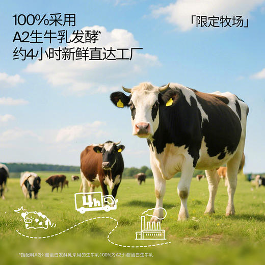 🧀️奶酪博士-A2婴标奶酪酸奶49.9得10袋❗️再送2袋！一袋只要4.1❗️【3月早餐团】 商品图5