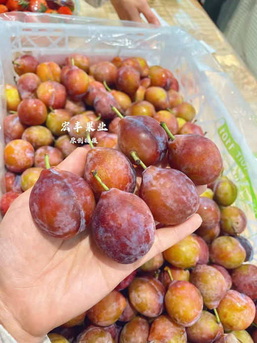 宏丰精选 智利西梅 大果，口感甜 活动价19.8一斤 商品图1