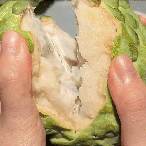 热卖中！！【顺丰/京东发货】宝岛台湾凤梨释迦果 现摘现发 清甜软糯