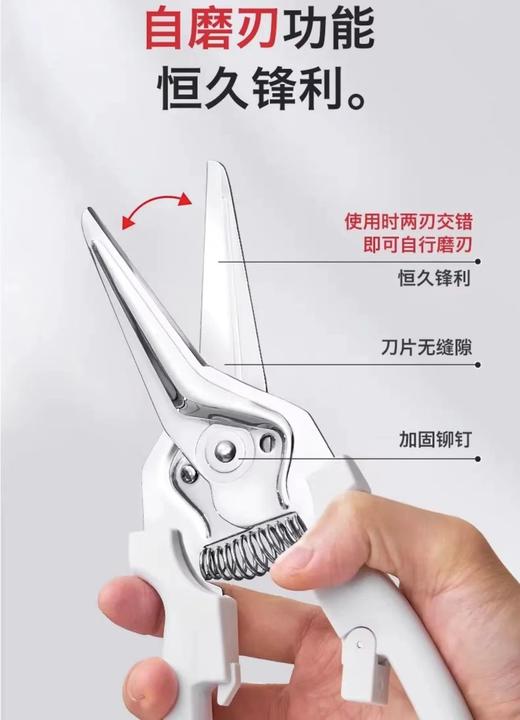 F022796让热爱家庭生活的人爱不释手~三色厨房钳子 商品图13