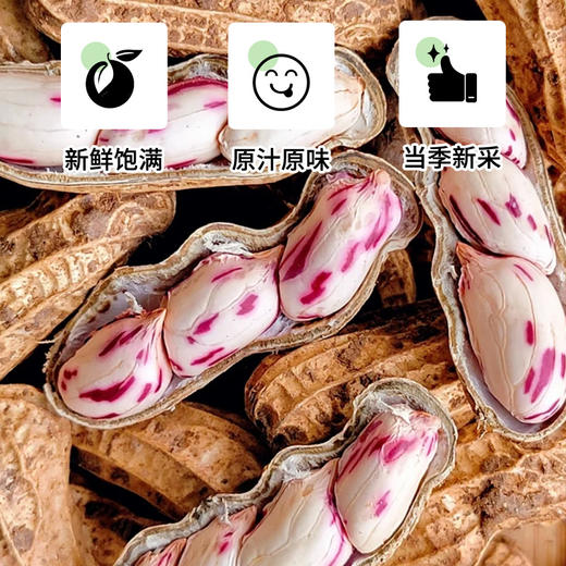 七彩花生260g/袋 商品图1