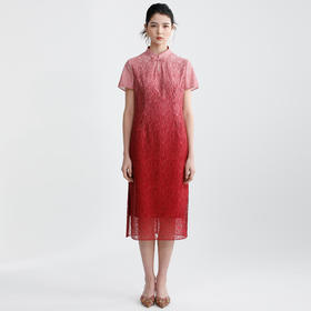 戴布拉芬连衣裙L29B526