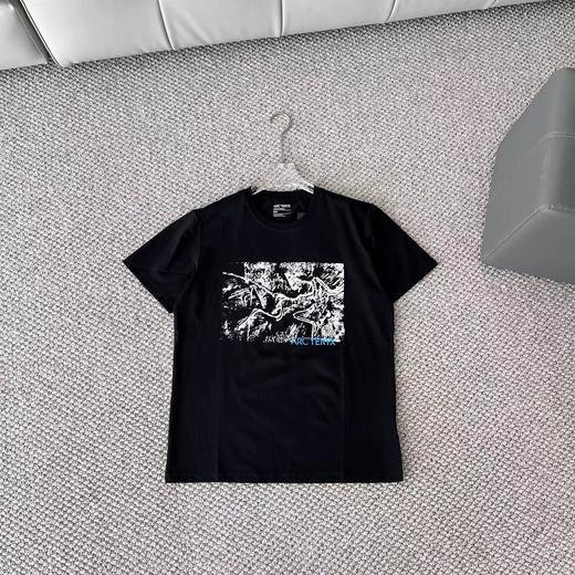 F022764新春限定植绒毛茸1996标语时尚短袖T恤 商品图6