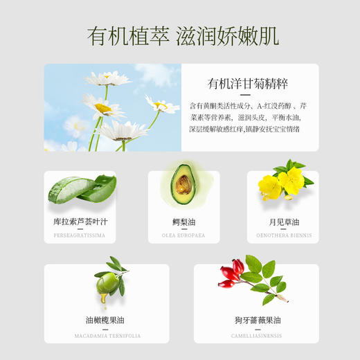 【澳洲直邮 请实名下单 收件人填写完整姓名】BBV地中海蜂窝海绵XL*1个+ BBV洋甘菊沐浴露250ml*1 发货后不支持七天无理由哦！ 商品图3