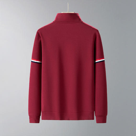 【DSK】大依优型大码男装春季半拉链立领卫衣商务休闲棉质长袖T恤打底衫 商品图4