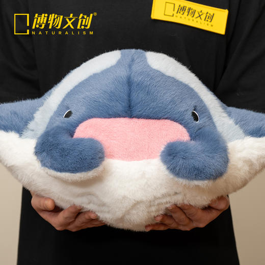 博物文创 大圆宝 双吻前口蝠鲼 海洋动物 新年元旦生日礼物 商品图3