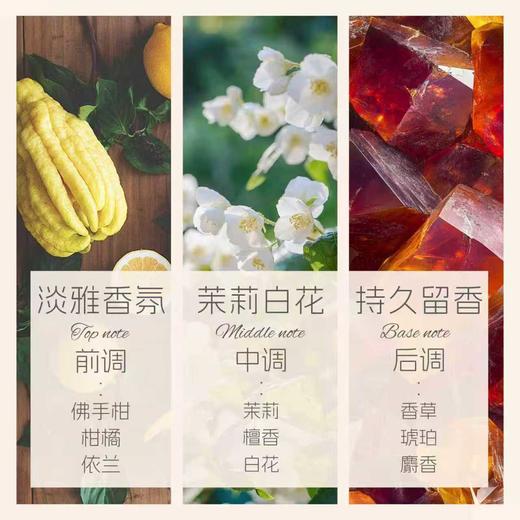 INGRAM'S英格莱恩南非经典乳木果大白罐水润保湿乳霜-D2 商品图3