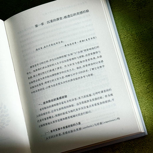 课堂之美 追求美感经验的观念化教学设计 邵朝友 新时代学校美育 商品图10