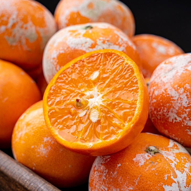 【网红脏脏柑】皮薄肉嫩，富含维C，味如“天然芬达”汽水，每个果子都涂“防晒霜”每年都超火爆的品，快来一起尝鲜啦！