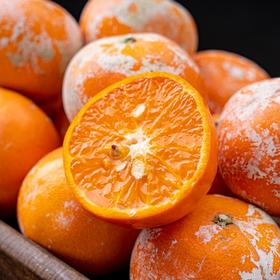 【网红脏脏柑】皮薄肉嫩，富含维C，味如“天然芬达”汽水，每个果子都涂“防晒霜”每年都超火爆的品，快来一起尝鲜啦！