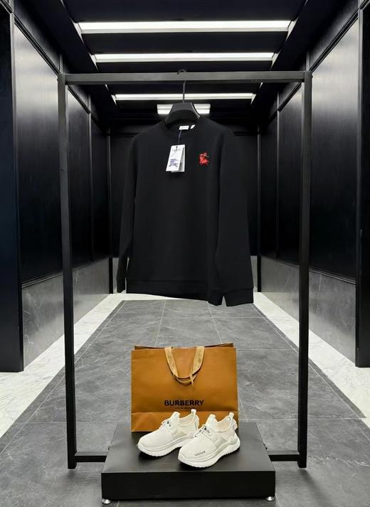 F022774胸前战马植绒刺绣logo情侣款圆领卫衣 商品图1