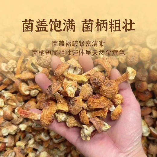 姬松茸180g/袋 商品图2