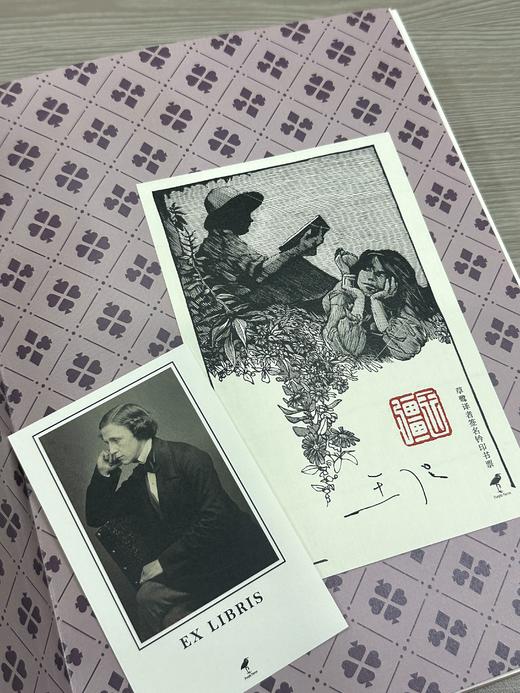 《爱丽丝漫游奇境与穿越镜中世界》薄雾粉山羊皮定制款，加赠译者签名钤印书票 商品图9