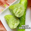 【牛奶白玉黄瓜】采用发酵大豆施肥，牛奶灌溉，新鲜采摘发货，瓜肉饱满，口感爽脆，非常适合生吃，“咔嚓”一声，一口咬下，清脆悦耳·满嘴尽是清新。 商品缩略图7