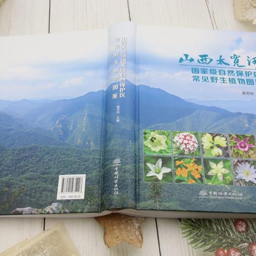 山西太宽河国家级自然保护区常见野生植物图鉴 &3522 商品图4