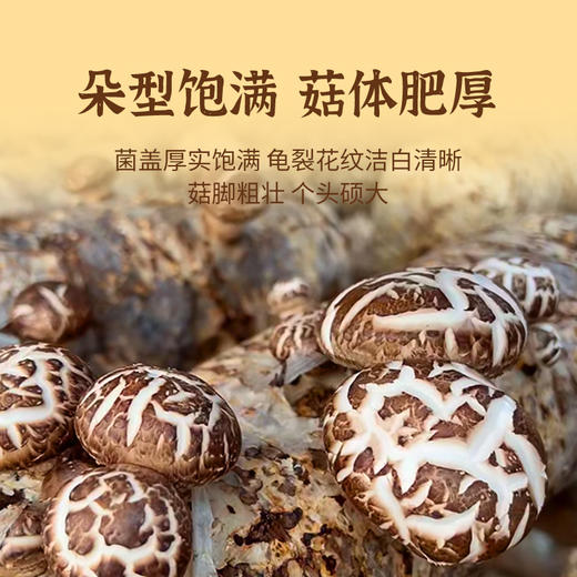 花菇180g/袋 商品图2