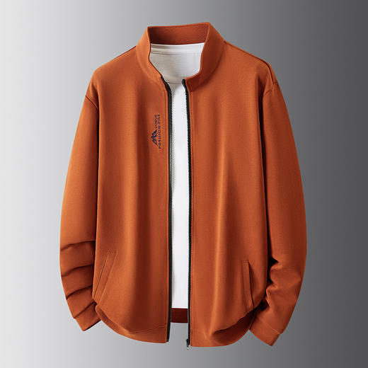 【DDS】【100%棉】大依优型大码男装全棉春季休闲卫衣外套纯棉夹克商务百搭运动长袖 商品图2