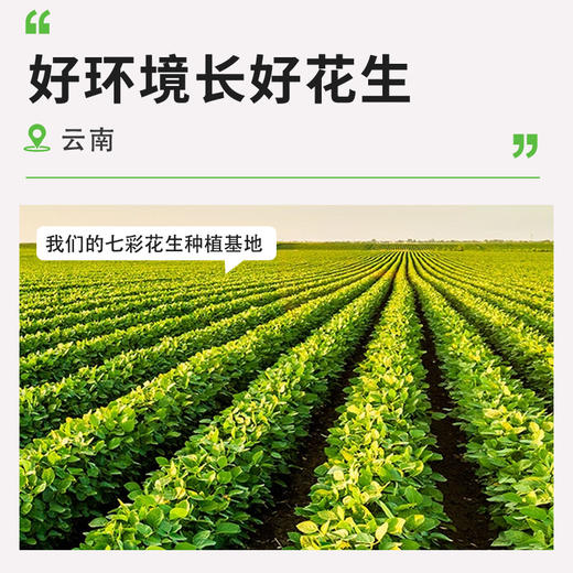 七彩花生260g/袋 商品图2