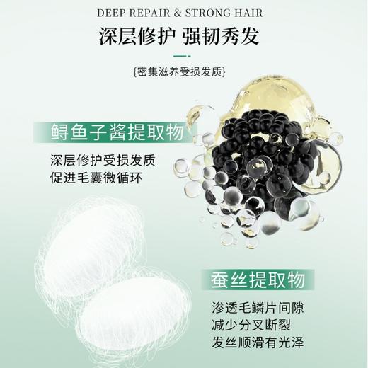 自营（菲小主）- 控油蓬松芳香洗发水400ml专利配方植萃精华清爽蓬松留香持久 商品图3