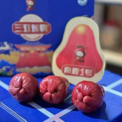 南鹿莲雾莲雾 3斤装 商品图1