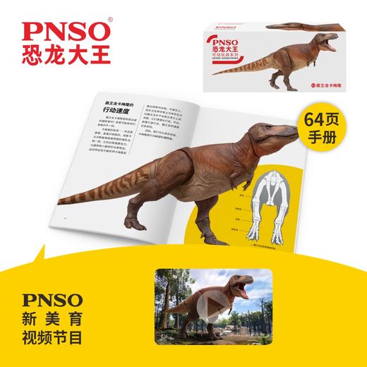 PNSO恐龙大王可动玩具系列01霸王龙卡梅隆 商品图1