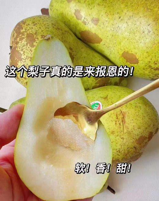 比利时进口啤梨 商品图1