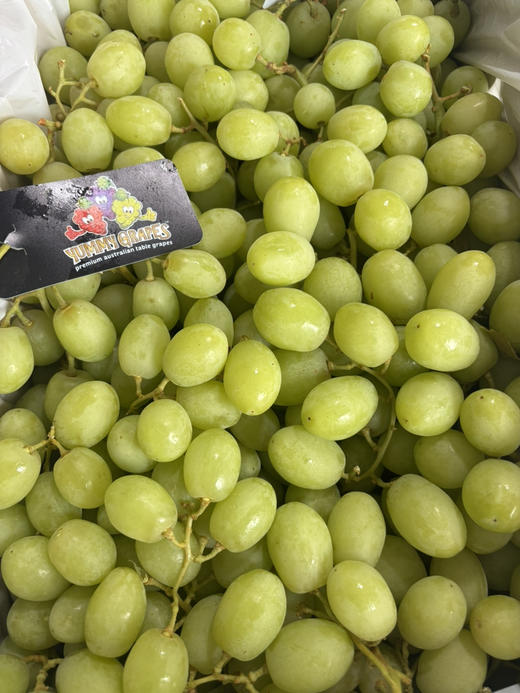 澳洲甜地球到货！脆甜多汁 皮薄肉脆 口感极佳～ 商品图2