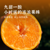 【即将收官】2026丑美阿柑生态耙耙柑 鲜果4.5斤装 九甜一酸自然成熟 预计3月中旬下架 商品缩略图2