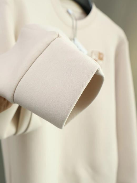 F022701胸前刺绣logo两色情侣款圆领卫衣 商品图12