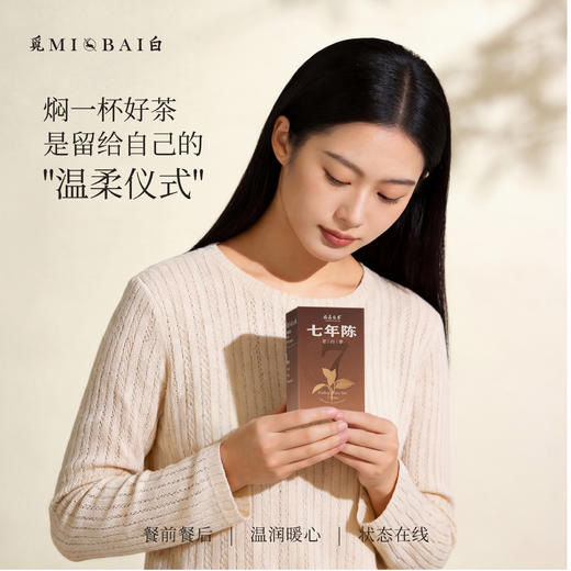 国风茶礼组合 80泡养生茶包 480ml焖茶壶 妇女节送礼 春游出行 商品图4