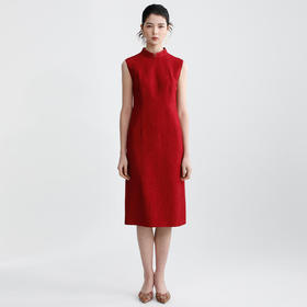 戴布拉芬连衣裙L29B523