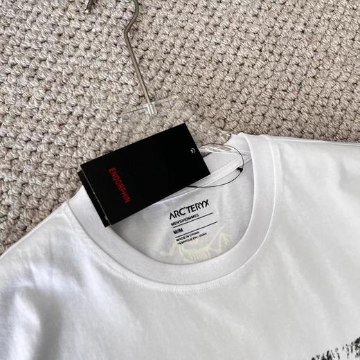 F022764新春限定植绒毛茸1996标语时尚短袖T恤 商品图8