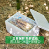 【临安-天目山春笋】2026 头茬天目山春笋，脆嫩的笋带着清鲜，回味略带甘甜，入口无渣，微甜无涩，净重4斤 商品缩略图11
