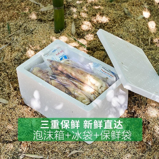 【临安-天目山春笋】2026 头茬天目山春笋，脆嫩的笋带着清鲜，回味略带甘甜，入口无渣，微甜无涩，净重4斤 商品图11