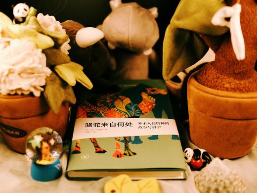 骆驼来自何处： 外来入侵物种的故事与科学 （新知文库精选） 商品图6